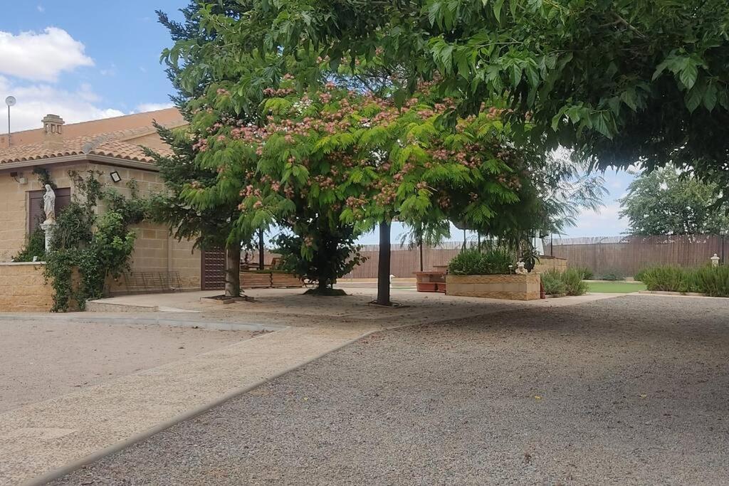 Finca El Pilar Madridejos Exteriör bild