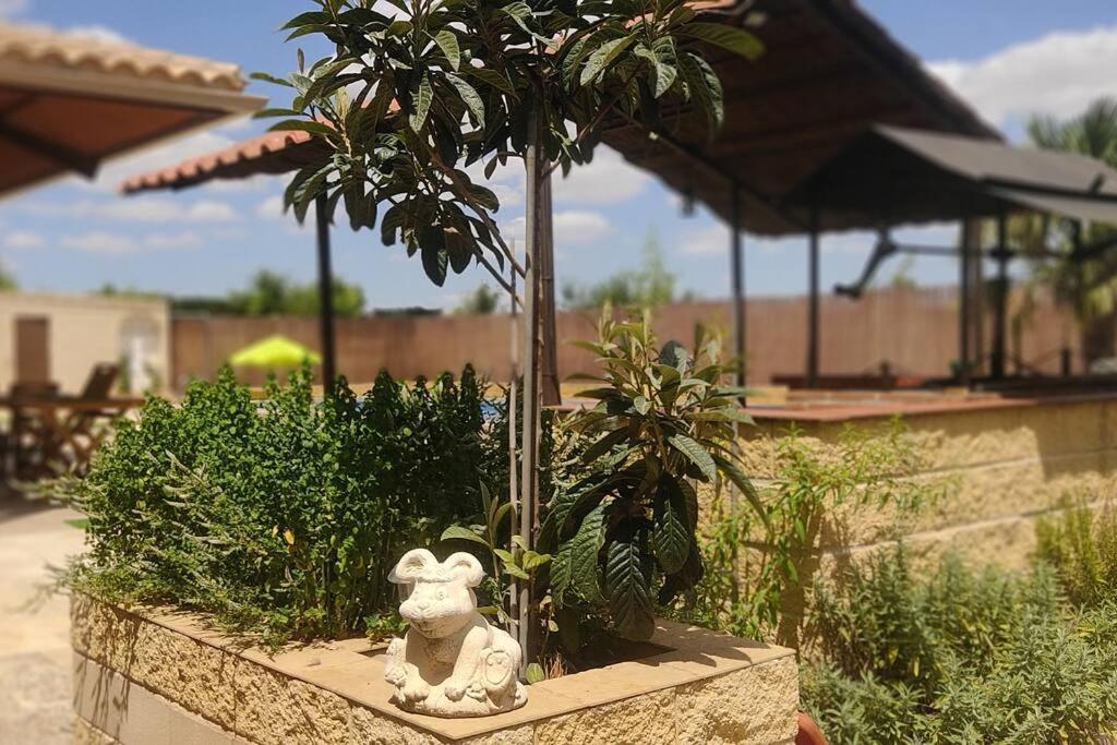Finca El Pilar Madridejos Exteriör bild